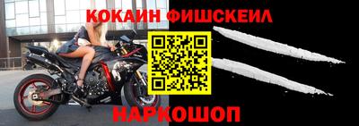 крисы Краснознаменск