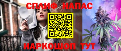 крисы Краснознаменск