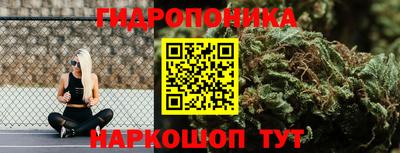 крисы Краснознаменск
